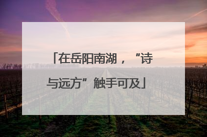 在岳阳南湖，“诗与远方”触手可及