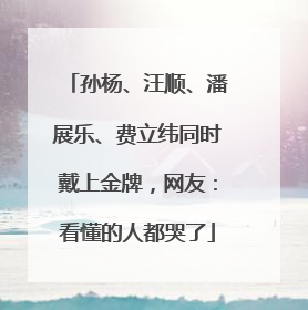 孙杨、汪顺、潘展乐、费立纬同时戴上金牌，网友：看懂的人都哭了