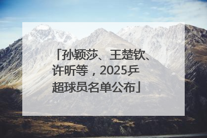 孙颖莎、王楚钦、许昕等，2025乒超球员名单公布