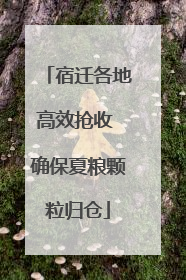 宿迁各地高效抢收 确保夏粮颗粒归仓