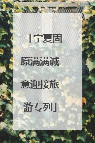 宁夏固原满满诚意迎接旅游专列