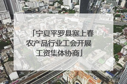 宁夏平罗县塞上春农产品行业工会开展工资集体协商