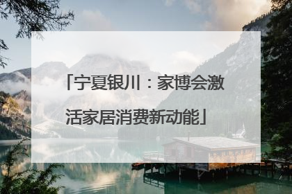 宁夏银川：家博会激活家居消费新动能