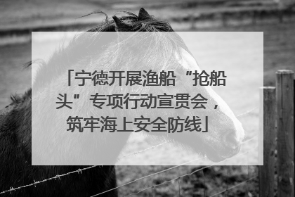 宁德开展渔船“抢船头”专项行动宣贯会，筑牢海上安全防线
