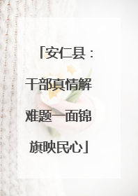 安仁县：干部真情解难题一面锦旗映民心