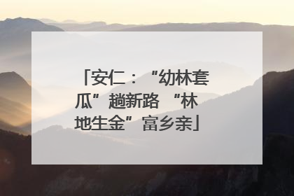 安仁：“幼林套瓜”趟新路 “林地生金”富乡亲