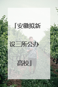 安徽拟新设三所公办高校