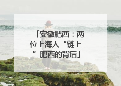 安徽肥西：两位上海人“链上”肥西的背后