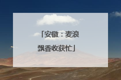 安徽：麦浪飘香收获忙
