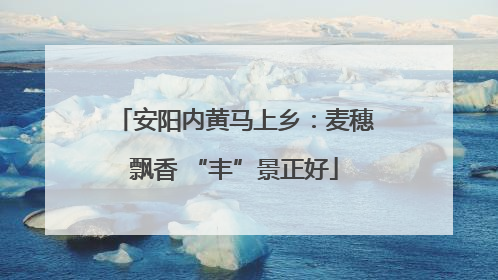 安阳内黄马上乡：麦穗飘香 “丰”景正好