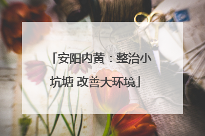 安阳内黄：整治小坑塘 改善大环境