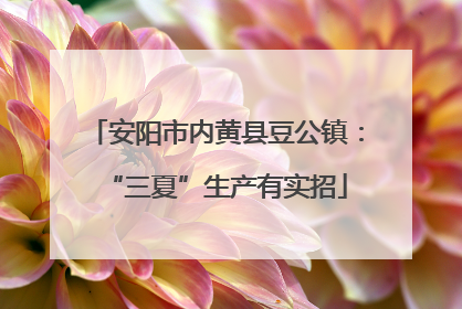 安阳市内黄县豆公镇：“三夏”生产有实招