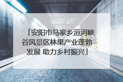 安阳市马家乡洹河峡谷风景区林果产业蓬勃发展 助力乡村振兴