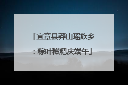 宜章县莽山瑶族乡：粽叶糍粑庆端午