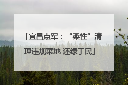 宜昌点军：“柔性”清理违规菜地 还绿于民