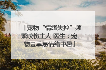 宠物“情绪失控”频繁咬伤主人 医生：宠物夏季易情绪中暑