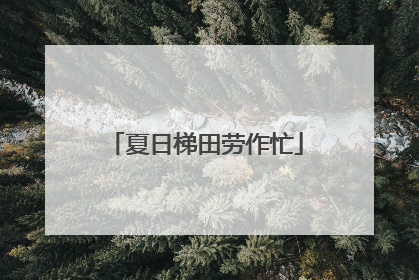 夏日梯田劳作忙