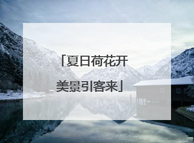 夏日荷花开 美景引客来