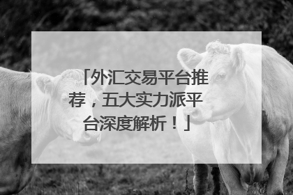 外汇交易平台推荐，五大实力派平台深度解析！