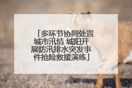 多环节协同处置城市汛情 城阳开展防汛排水突发事件抢险救援演练