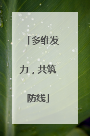 多维发力，共筑防线