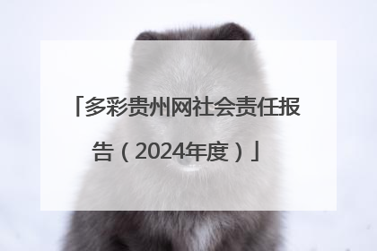 多彩贵州网社会责任报告（2024年度）