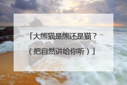 大熊猫是熊还是猫？（把自然讲给你听）