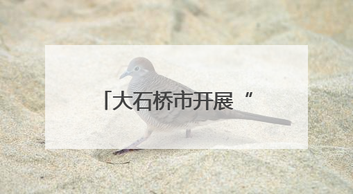 大石桥市开展“环境攻坚年”行动为决胜之战赋能