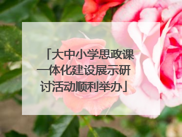 大中小学思政课一体化建设展示研讨活动顺利举办