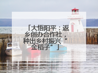 大悟阳平：返乡创办合作社，种出乡村振兴“金稻子”