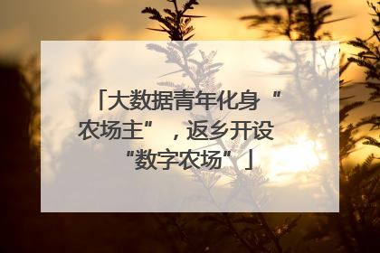 大数据青年化身“农场主”，返乡开设“数字农场”