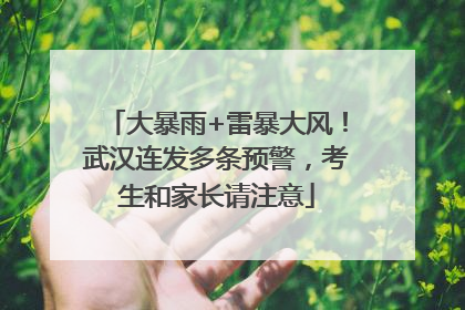 大暴雨+雷暴大风！武汉连发多条预警，考生和家长请注意