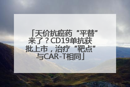 天价抗癌药“平替”来了？CD19单抗获批上市，治疗“靶点”与CAR-T相同
