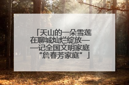 天山的一朵雪莲在聊城灿烂绽放——记全国文明家庭“詹春芳家庭”