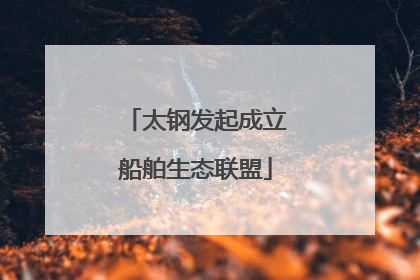 太钢发起成立船舶生态联盟