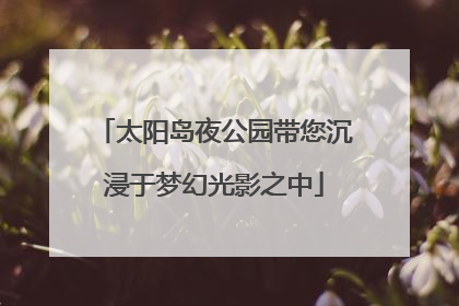 太阳岛夜公园带您沉浸于梦幻光影之中