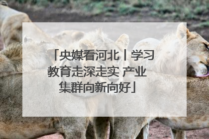 央媒看河北丨学习教育走深走实 产业集群向新向好