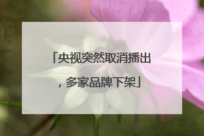 央视突然取消播出，多家品牌下架
