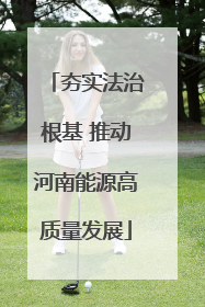 夯实法治根基 推动河南能源高质量发展