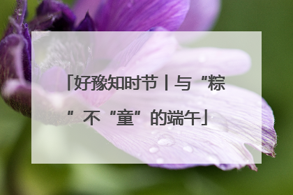 好豫知时节丨与“粽”不“童”的端午