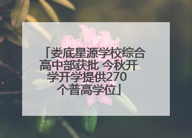 娄底星源学校综合高中部获批 今秋开学开学提供270 个普高学位