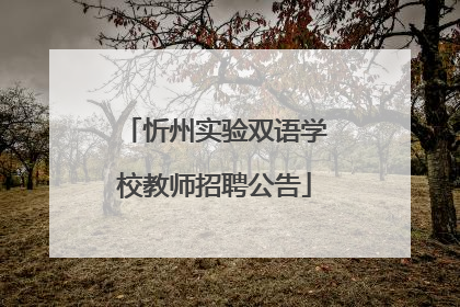 忻州实验双语学校教师招聘公告