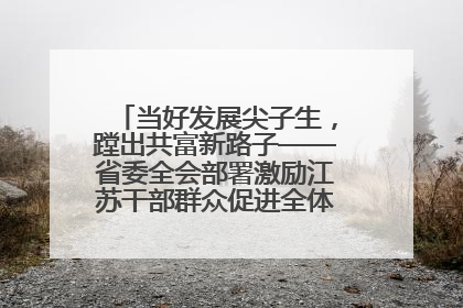当好发展尖子生，蹚出共富新路子——省委全会部署激励江苏干部群众促进全体人民共同富裕