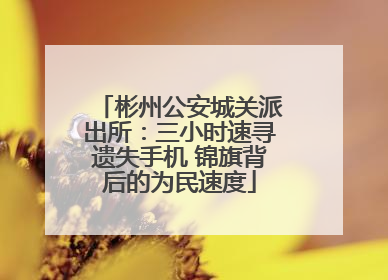 彬州公安城关派出所：三小时速寻遗失手机 锦旗背后的为民速度