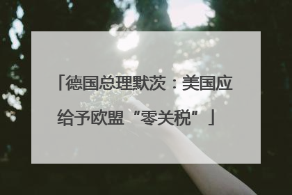 德国总理默茨：美国应给予欧盟“零关税”