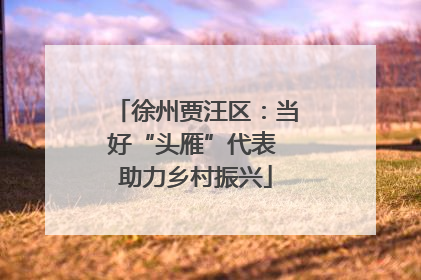徐州贾汪区：当好“头雁”代表 助力乡村振兴