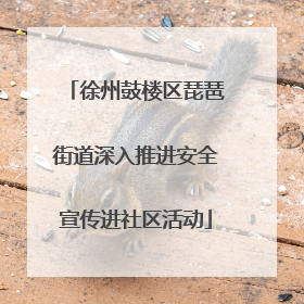 徐州鼓楼区琵琶街道深入推进安全宣传进社区活动