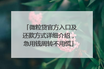 微粒贷官方入口及还款方式详细介绍，急用钱周转不用慌