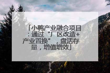 小鸭产业融合项目：通过“厂区改造+产业置换”，盘活存量，增值增效
