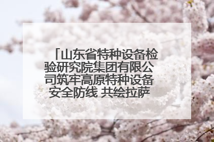 山东省特种设备检验研究院集团有限公司筑牢高原特种设备安全防线 共绘拉萨美好生活画卷